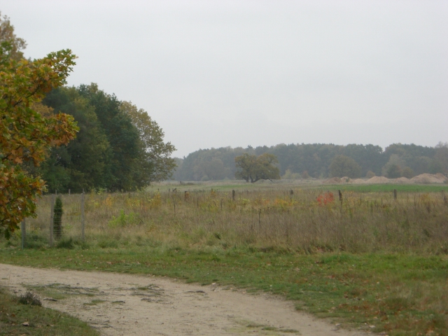 CTF Celle Strecke 113